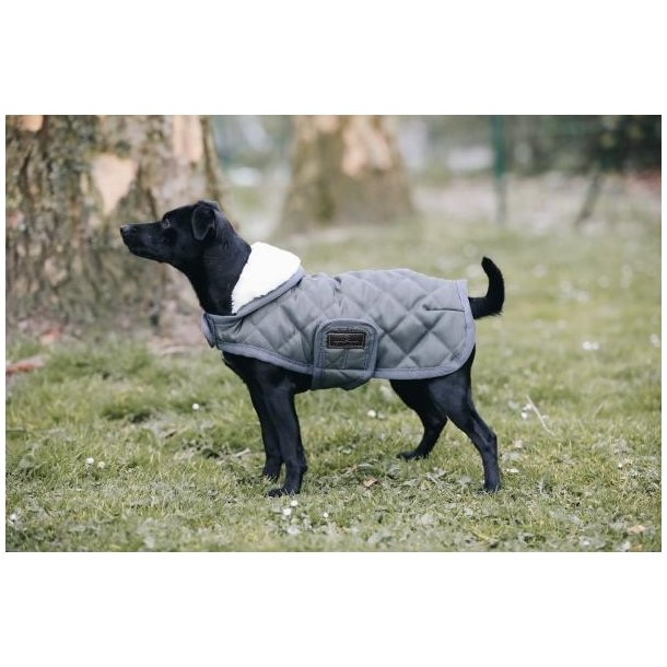 Kentucky Dog Coat original Hunded�kken