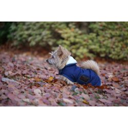 Kentucky Dog Coat original Hunded�kken