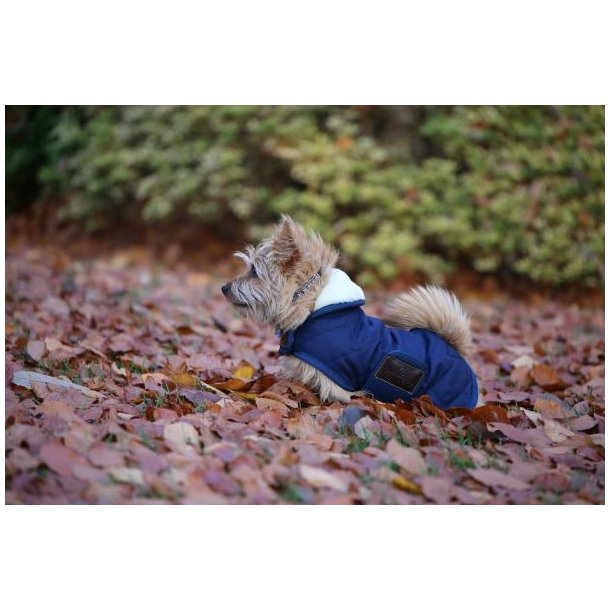 Kentucky Dog Coat original Hunded�kken
