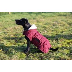Kentucky Dog Coat original Hunded�kken