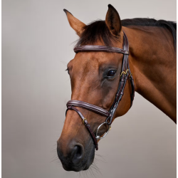 Dyon Anatomisk trense med Flash n�seb�nd 