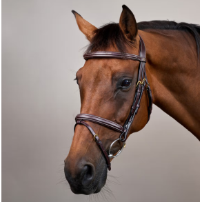 Dyon Anatomisk trense med Flash n�seb�nd 