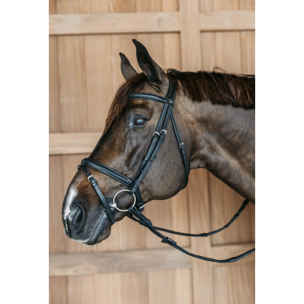 Dyon NE Plaited Flash trense