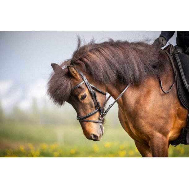 Dyon IC stoft�jler med stoppere 1/2"