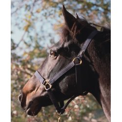 Euroriding Nylon Grime