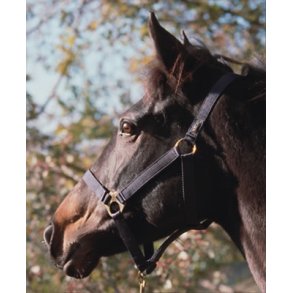 Euroriding Nylon Grime