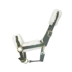 Equest Grime med Imiterede Lam