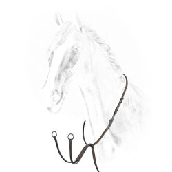 Equiline Running martingale