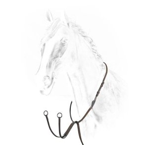 Equiline Running martingale