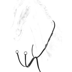 Equiline Running martingale