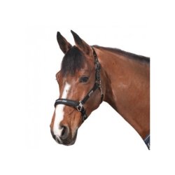 Eskadron Classic Sports Grime