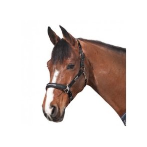 Eskadron Classic Sports Grime