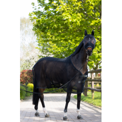 Eskadron Fly Protect grime m fluemaske