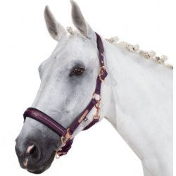 Eskadron Heritage Glossy grime 20/21