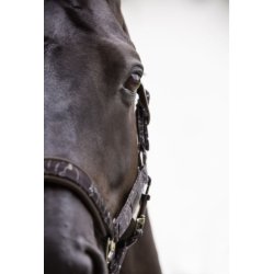 Eskadron grime Pin Buckle Glossy Dessin Platinum 2020