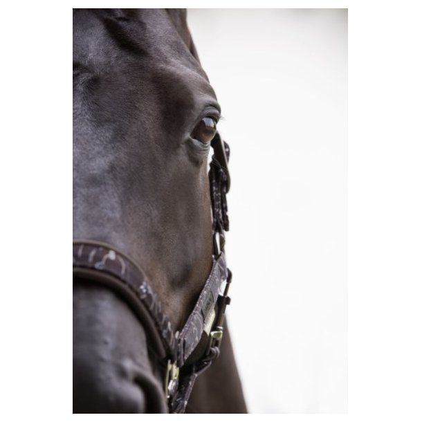 Eskadron grime Pin Buckle Glossy Dessin Platinum 2020