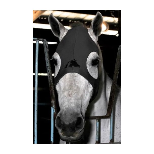 Fenwick Liquid Titanium Mask