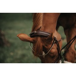 Finesse trense Cassidy kombineret n�seb�nd