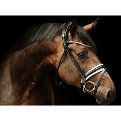 Finesse trense Cassidy kombineret n�seb�nd