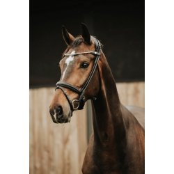 FinesseBridles trense jumping model