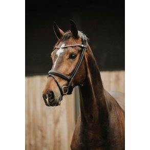 FinesseBridles trense jumping model