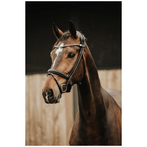 FinesseBridles trense jumping model
