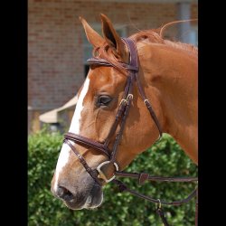 Dyon Flash trense med kombineret n�seb�nd og anatomisk nakkestykke