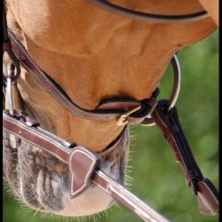 Dyon Flash trense med kombineret n�seb�nd og anatomisk nakkestykke