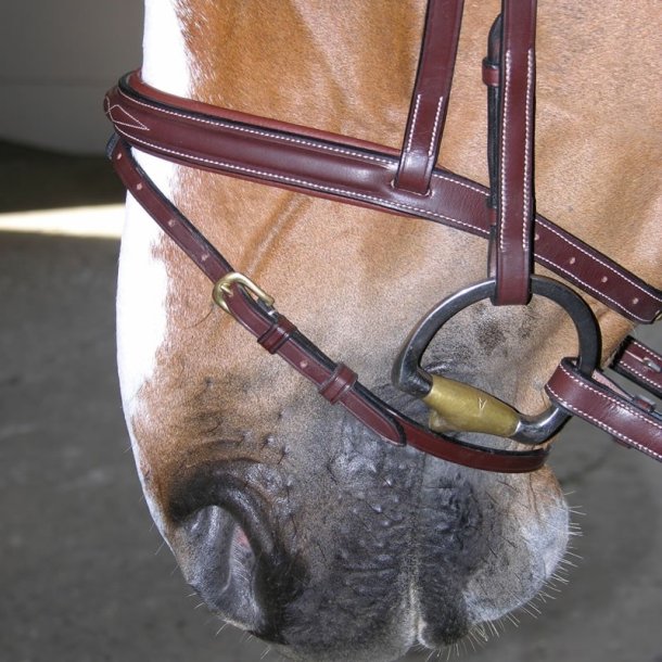 Dyon Flash trense med kombineret n�seb�nd og anatomisk nakkestykke