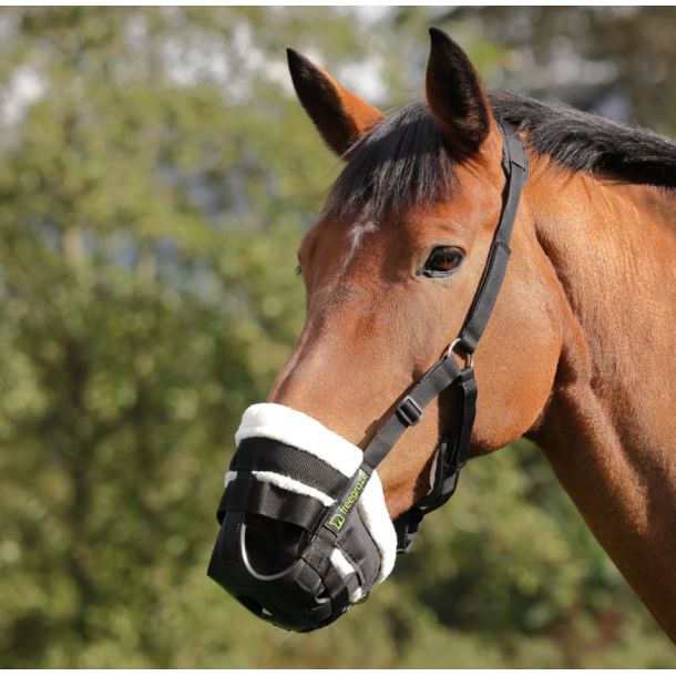 FreeGraze Deluxe Comfort grime med mulekurv