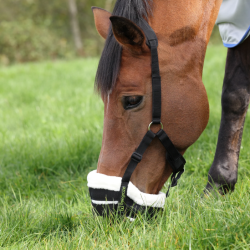 FreeGraze Deluxe Comfort grime med mulekurv