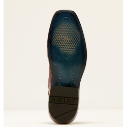 Ariat Futurity Blanche western st�vle