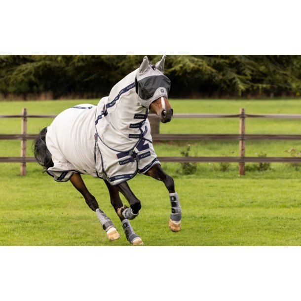 LeMieux Kudos Gladiator Fly Rug