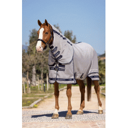 LeMieux Kudos Gladiator Fly Rug