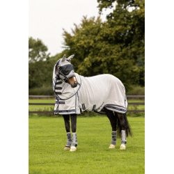 LeMieux Kudos Gladiator Fly Rug