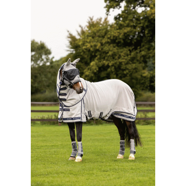 LeMieux Kudos Gladiator Fly Rug