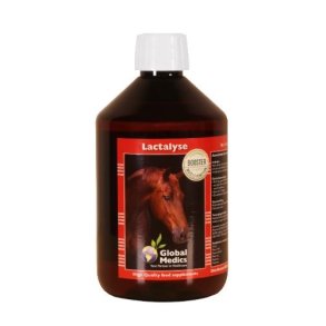 Global Medics Lactalyse