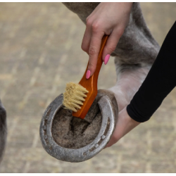 QHP Royal Grooming gave�ske m strigles�t