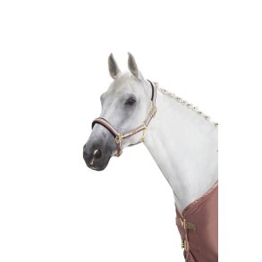 Eskadron Heritage Headcollar Pin Buckle Striped 19/20