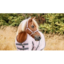 HG Dot Orchid Pink grime