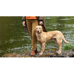 Dubarry Honeysuckle babyfl�jlsbukser 