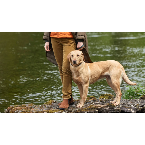 Dubarry Honeysuckle babyfl�jlsbukser 