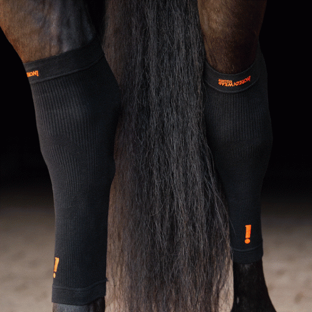 Incrediwear Equine Circulation Hoof Sock (par)