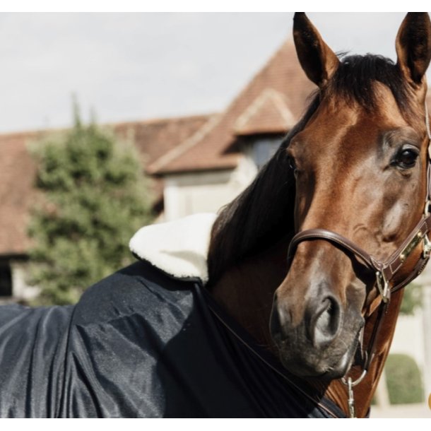 Kentucky Horse Bib Wither protection
