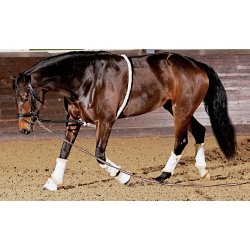 Horse Guard Soft Longeringshj�lp