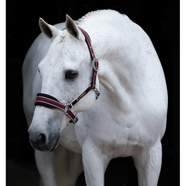 Horseware Rambo Padded Headcollar