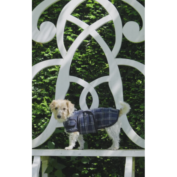 Eskadron Heritage Boucl� hunded�kken