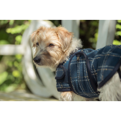 Eskadron Heritage Boucl� hunded�kken