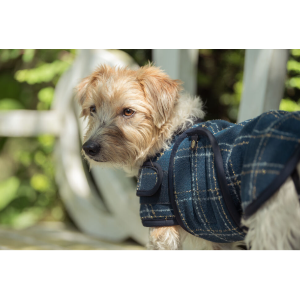 Eskadron Heritage Boucl� hunded�kken