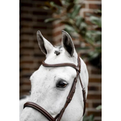 Horseware Cavesson hunter trense